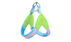 Adjustable straps on colourful small dog vest harness