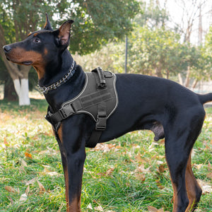 Front view of breathable tactical dog harness