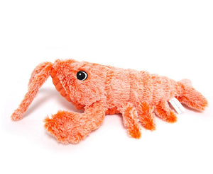 Indoor cat enjoying the PAWABY interactive lobster toy.