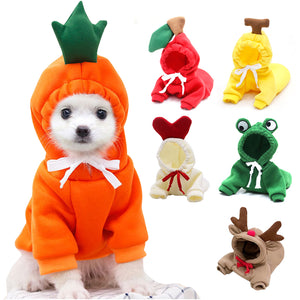 Small dog wearing a green frog hoodie