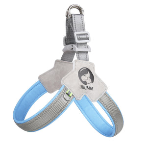 Blue Dachshund harness UK