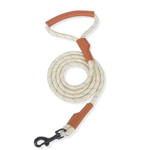 Yellow Dachshund harness UK