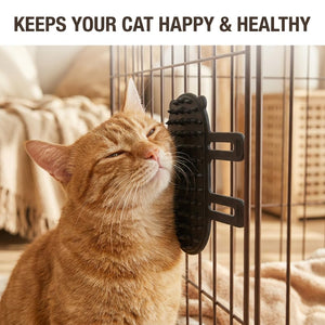 PAWABY cat massage comb suitable for kittens and adult cats.