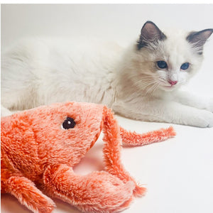 Floppy lobster toy with soft plush construction and catnip pocket.