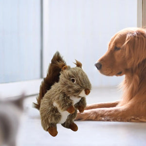 Interactive squirrel dog toy for supervised playtime
