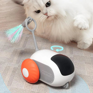 Indoor cat playing with the PAWABY Smart RC Cat Car.