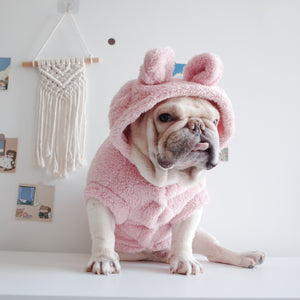 Small dog wearing a Pink pig-inspired plush hoodie