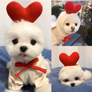 Red apple hoodie with stalk and leaf for small dogs
