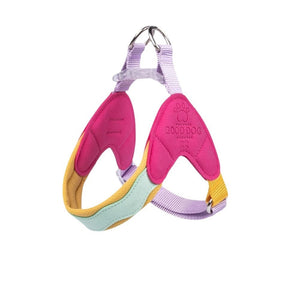 Colourful dog harness with matching 150 cm lead