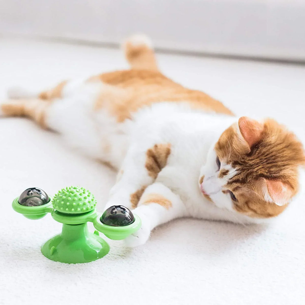Tabby cat playing while its owner rotates toys from a storage basket