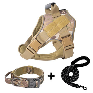 Adjustable straps on large dog harness