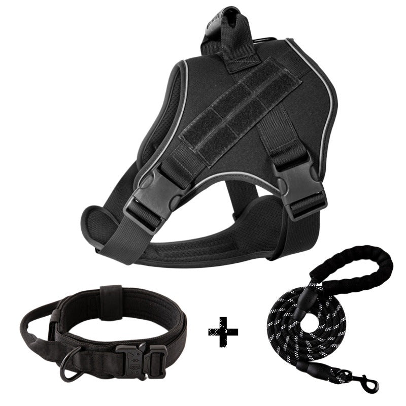 Close-up of breathable dog harness fabric