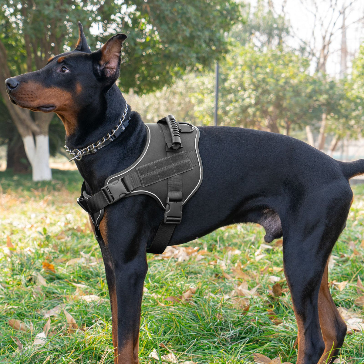 Front view of breathable tactical dog harness