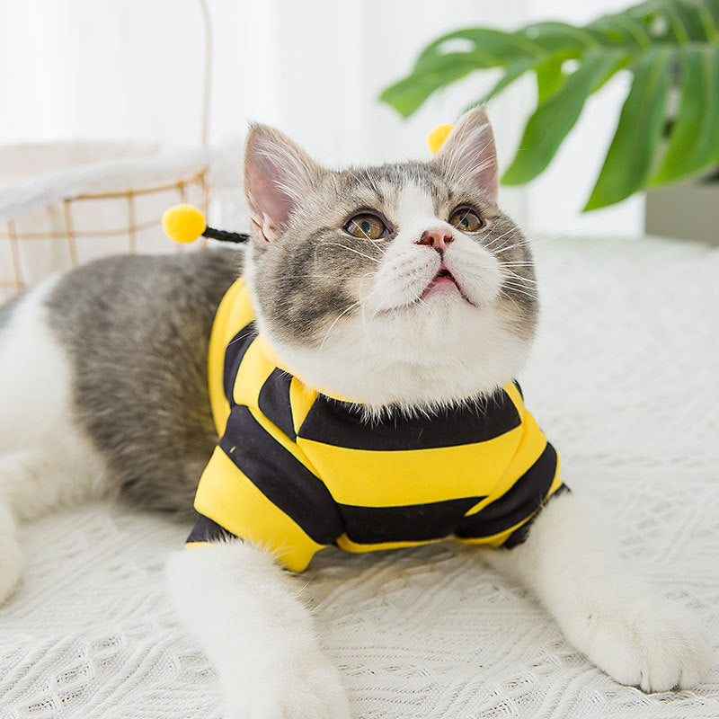 Front view of yellow and black cat bee costume