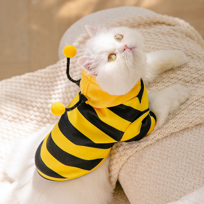 Black antennae with yellow pom-poms on bee costume