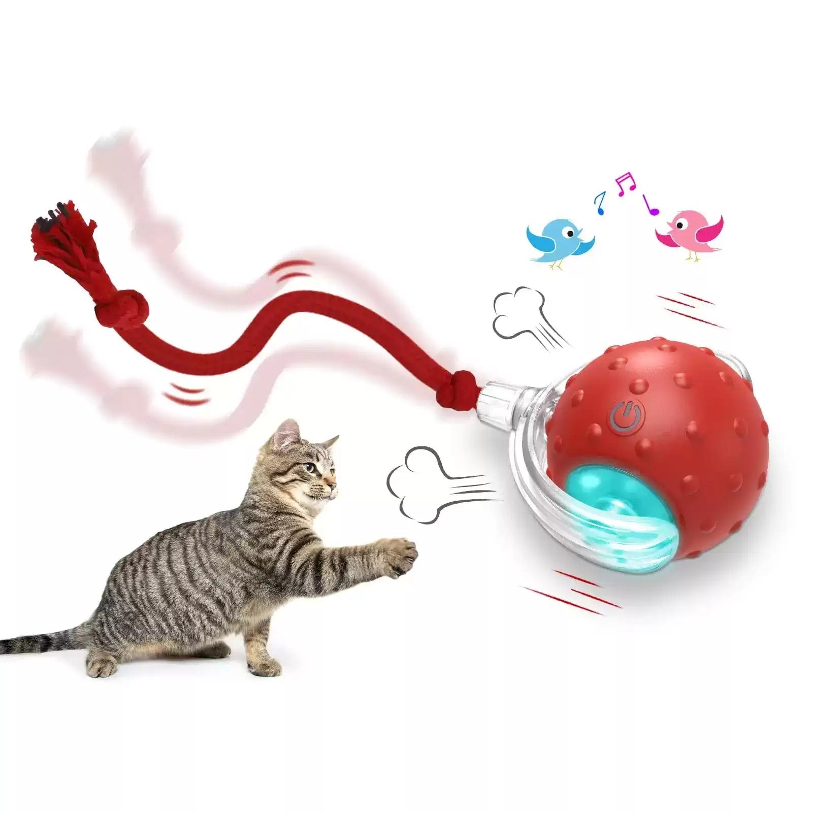 Indoor cat chasing the PAWABY Smart Interactive Rolling Cat Ball during playtime.