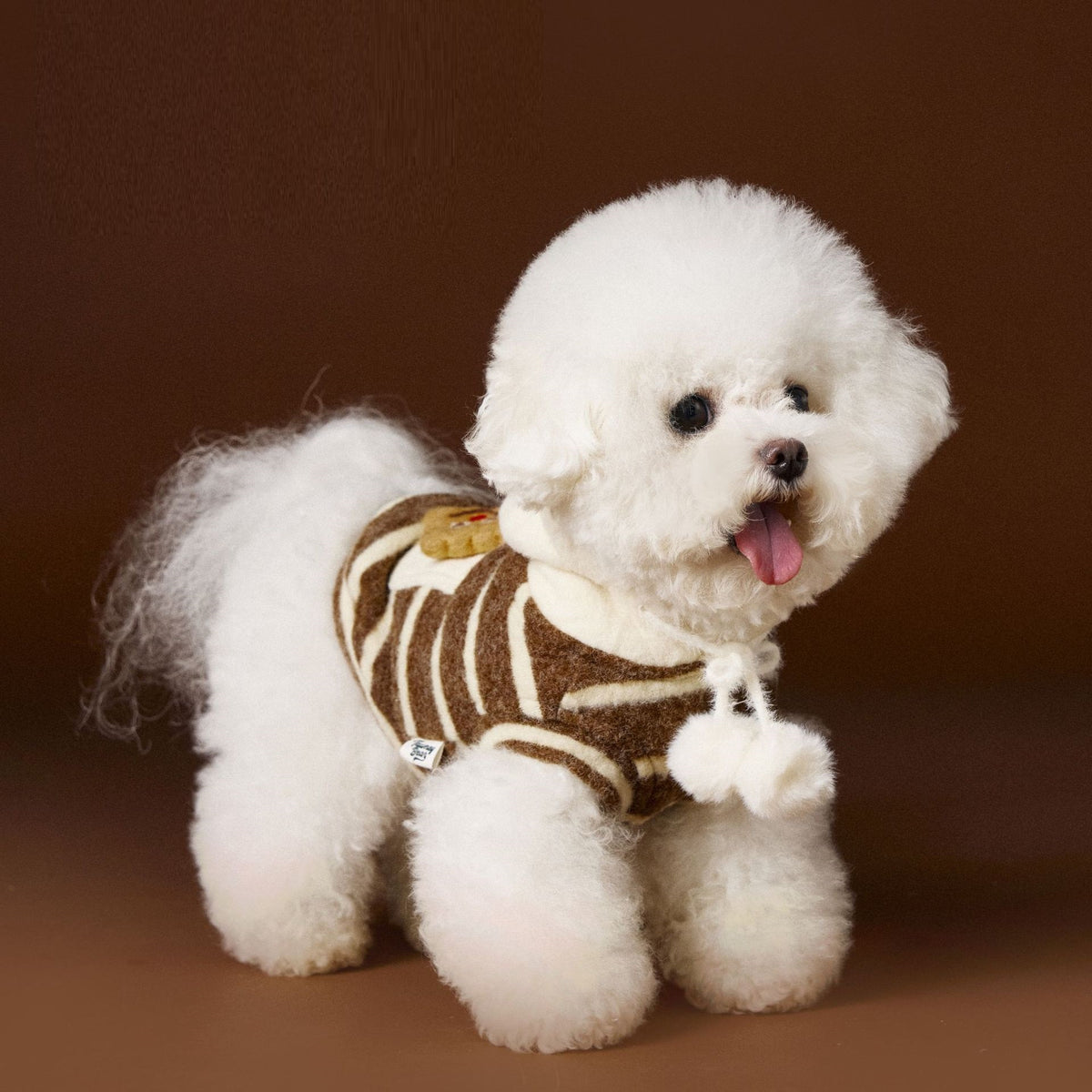 Front view of coffee-coloured cupcake dog jumper