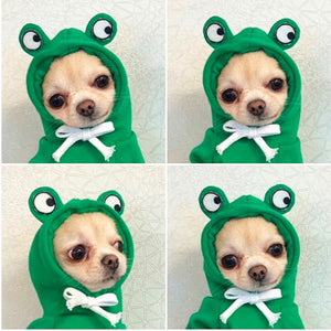 Drawstrings and front sleeves on small dog hoodie
