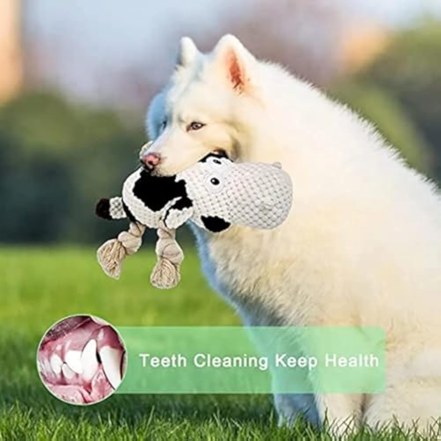 Dog Interactive Toy UK