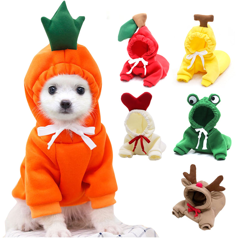 Small dog wearing a green frog hoodie