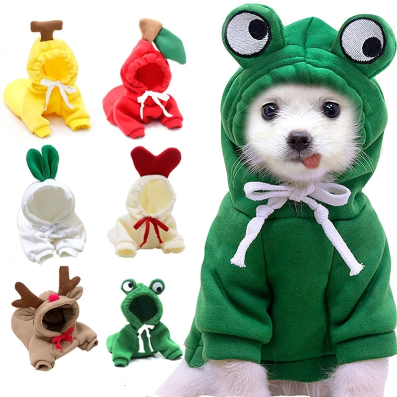 Green frog hoodie with character eyes for a small dog