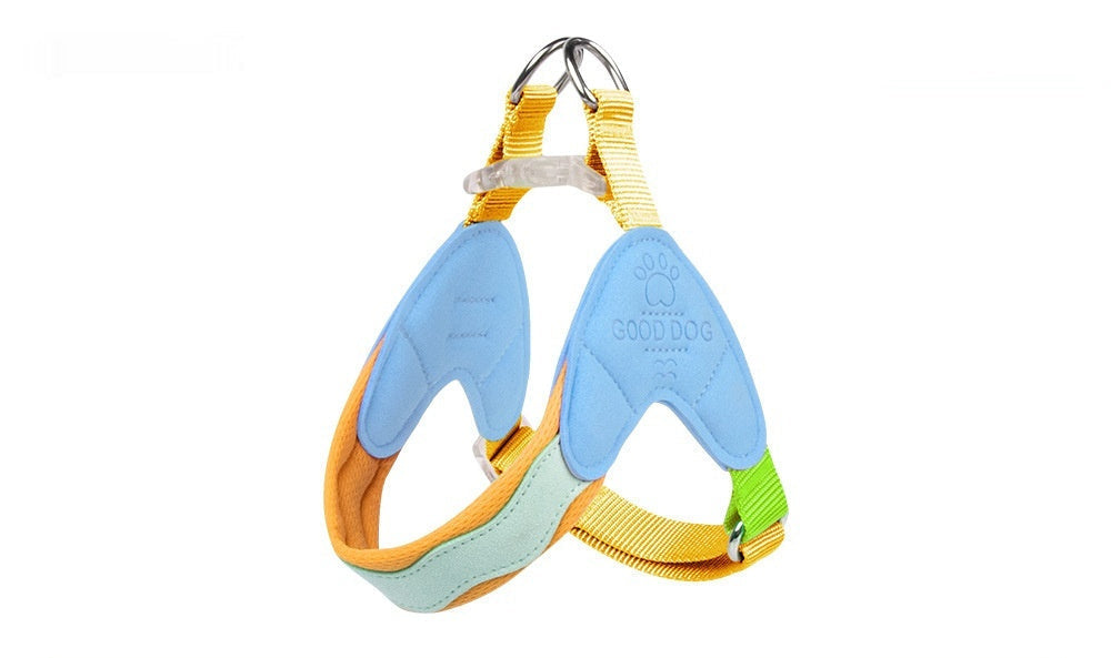 Green colourful small dog harness with matching lead