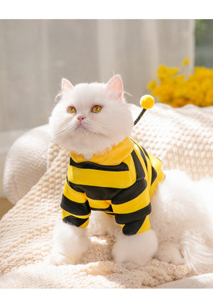 Grey cat wearing yellow and black bee costume