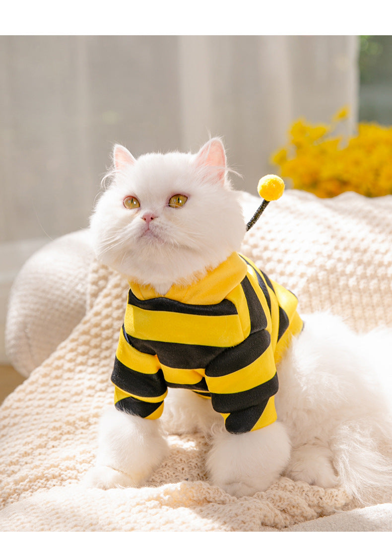Grey cat wearing yellow and black bee costume