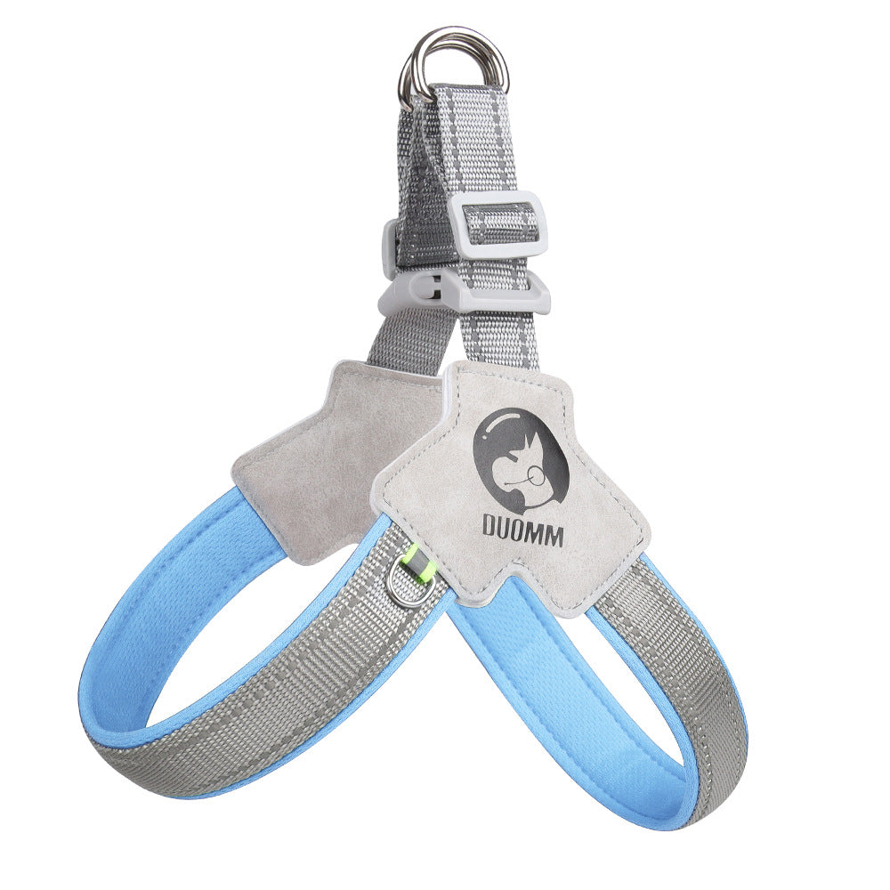 Blue Dachshund harness UK