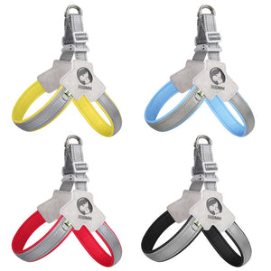 Easy on/off Dachshund harness UK