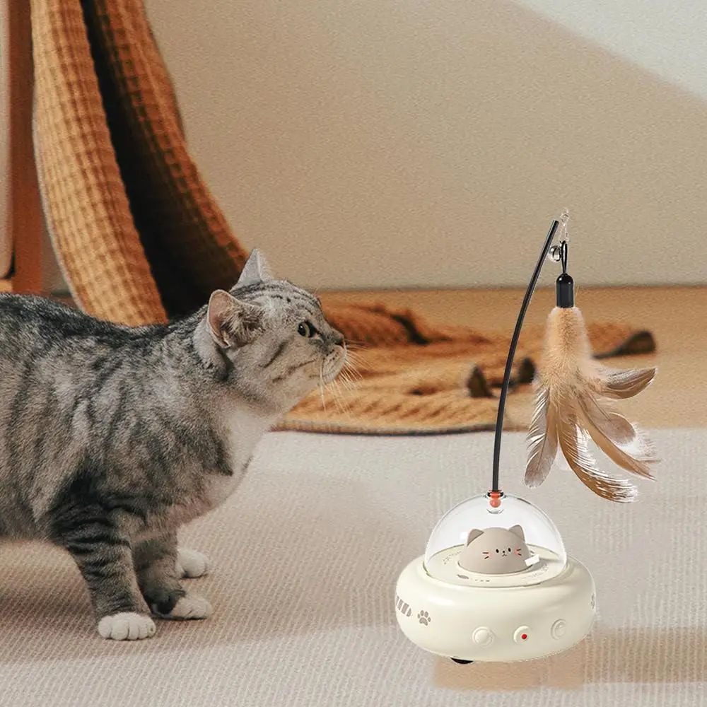 Interactive feather toy encouraging natural hunting instincts in indoor cats