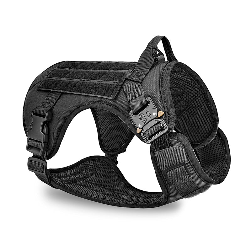 Large dog wearing camouflage walking harness