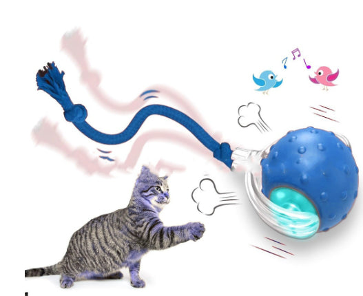 Motion activated rolling cat ball encouraging healthy exercise and mental stimulation