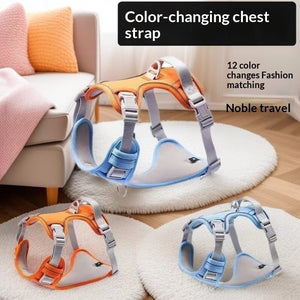 Adjustable dog vest harness suitable for everyday walks.