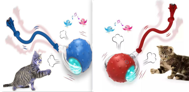 Motion activated rolling cat ball encouraging healthy exercise and mental stimulation