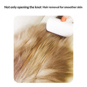 Cat being gently brushed using the PAWABY grooming tool.