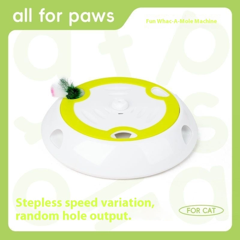 Indoor cat chasing the PAWABY moving mouse toy.
