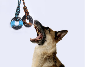 Bite-resistant dog toy for active and energetic pets.