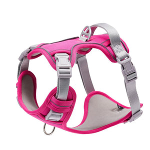 Dog enjoying a countryside walk wearing the PAWABY harness.