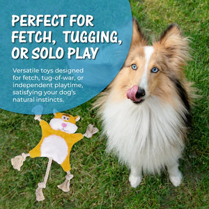 PAWABY squeaky dog toy for supervised chewing and play