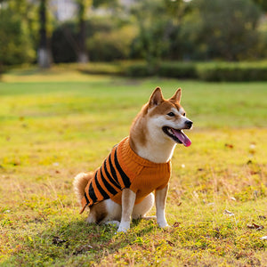 Four PAWABY Halloween dog jumper designs