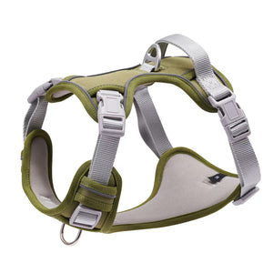 Comfortable dog harness designed for active dogs.