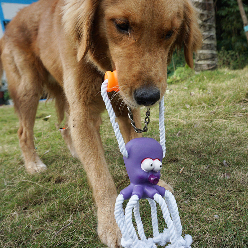 PAWABY Hemp Molar Ball designed for chewing and interactive play.