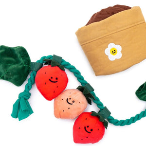 Hide and seek dog toy suitable for puppies and adult dogs.