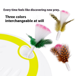 Smart cat toy designed to support mental stimulation and enrichment.