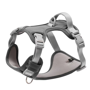 Large dog wearing the PAWABY outdoor harness.