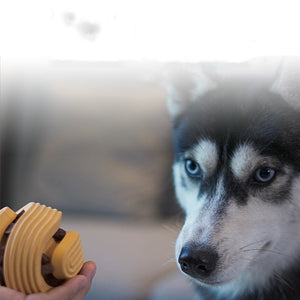 Interactive dog ball helping keep dogs active and mentally engaged.