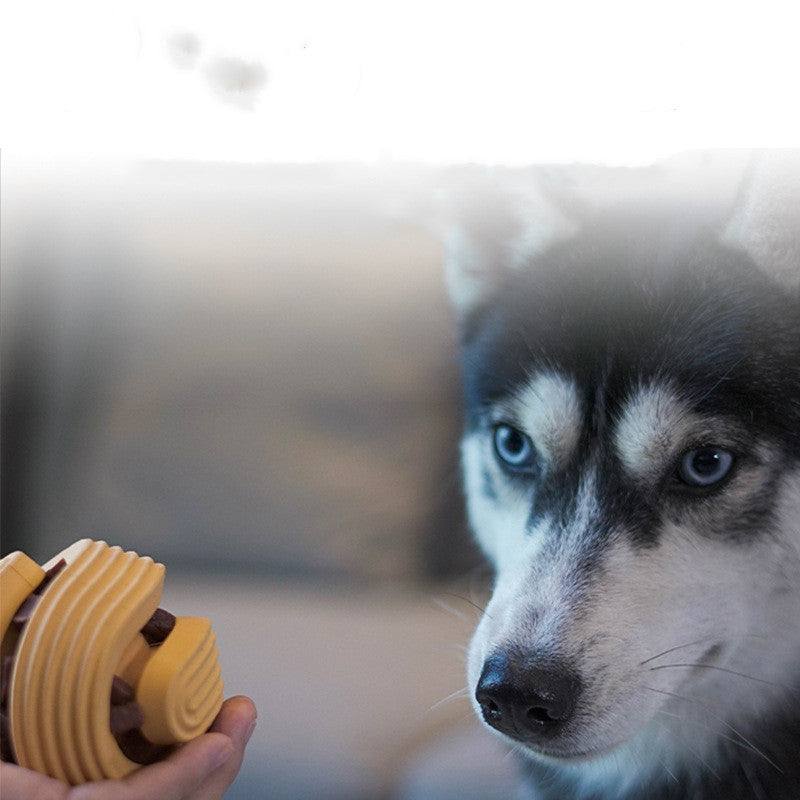 Interactive dog ball helping keep dogs active and mentally engaged.