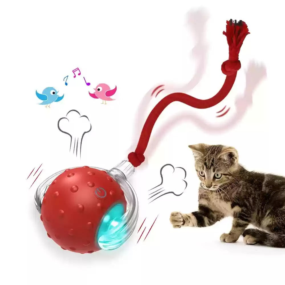 PAWABY Smart Interactive Rolling Cat Ball designed for indoor cats to chase, pounce and stay active