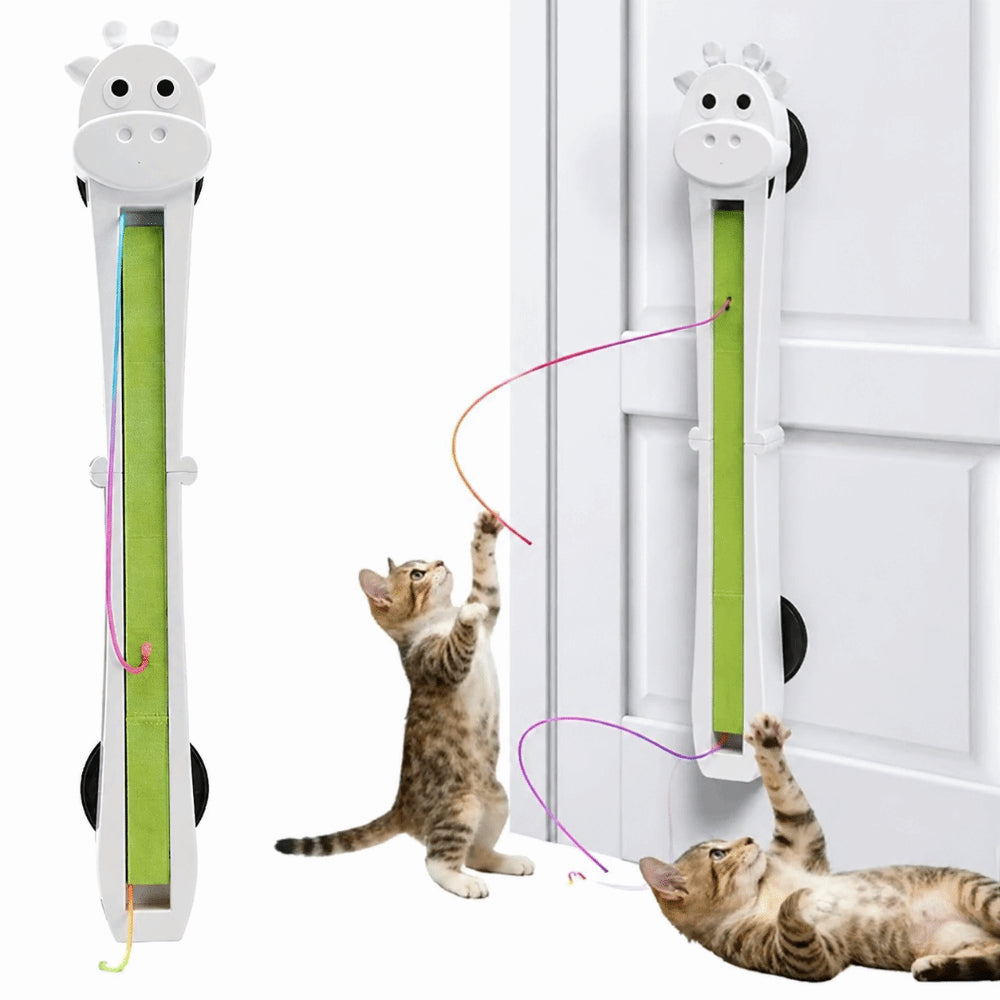 PAWABY Wall Mounted Flying Rope Cat Toy designed for indoor cats.